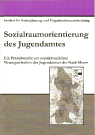 Sozialraumorientierung des Jugendamtes